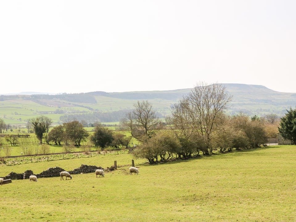 Cottage | Property grounds