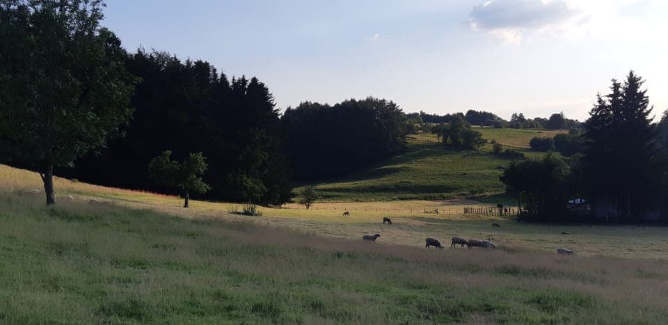 Cottage, Ensuite, Garden View | View from property