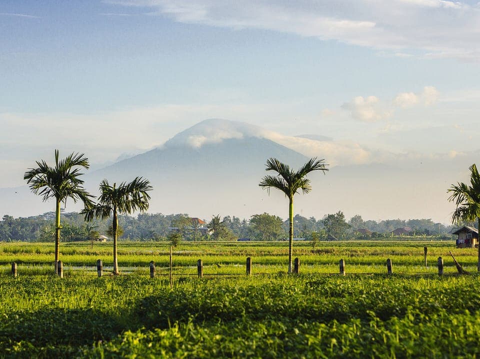 Villa, 5 Bedrooms | View from room