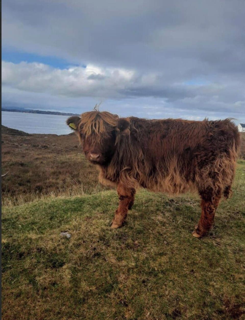 Cabin | Miscellaneous