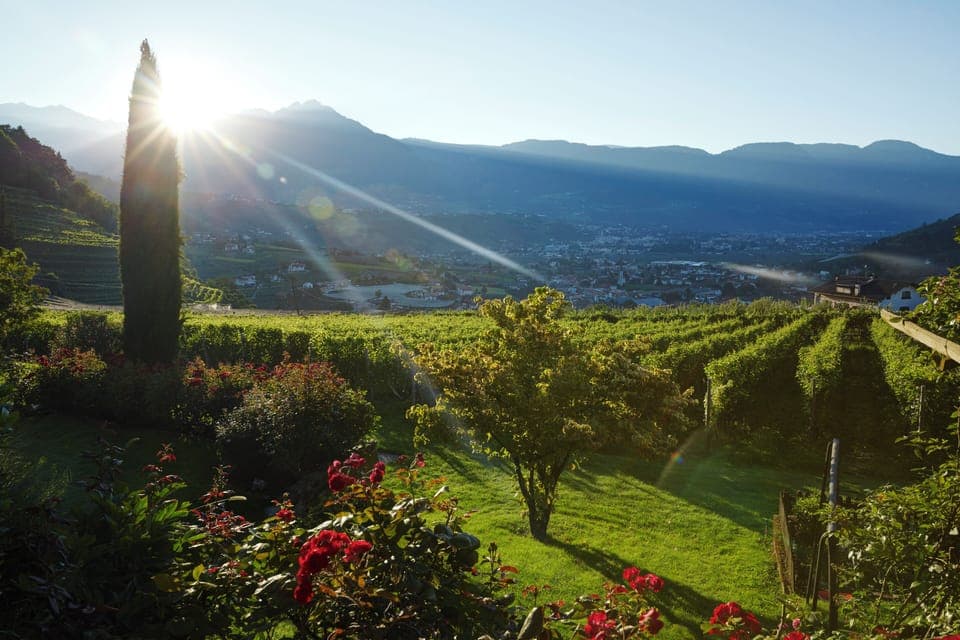 Comfort Double Room | View from room