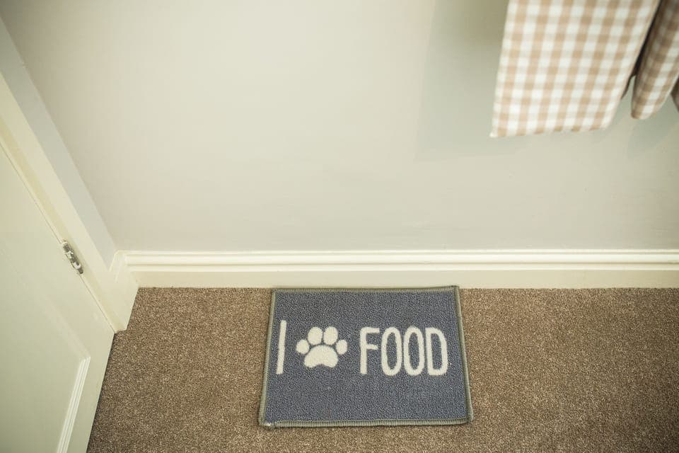 Standard Room, 1 Double Bed, Non Smoking (Pet Friendly) | Desk, iron/ironing board, cribs/infant beds, rollaway beds