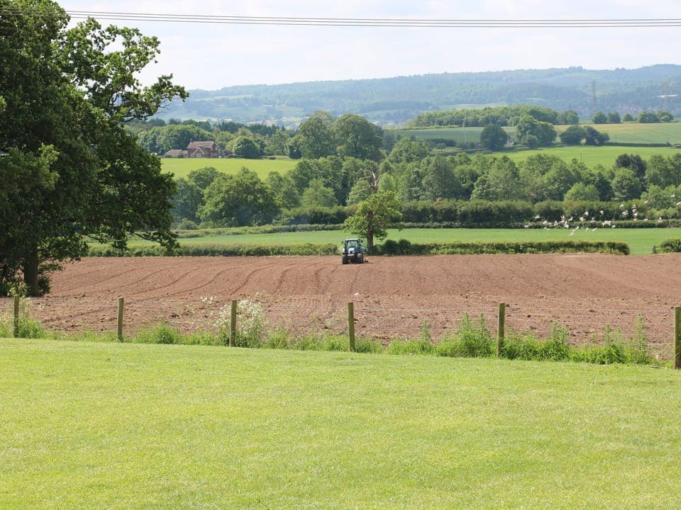 Cottage | Miscellaneous