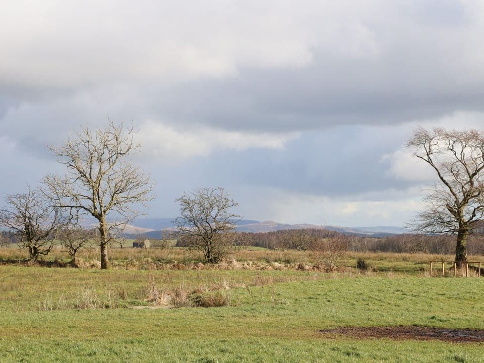 Cottage | Miscellaneous