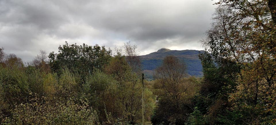Luxury Cottage, Private Bathroom, Mountain View (Ben Lomond Cottage) | View from property