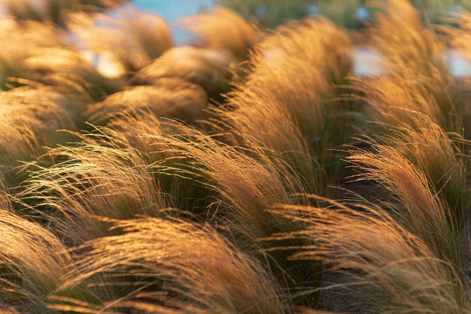 Superior Double Room with Garden View | In-room safe, individually decorated, individually furnished