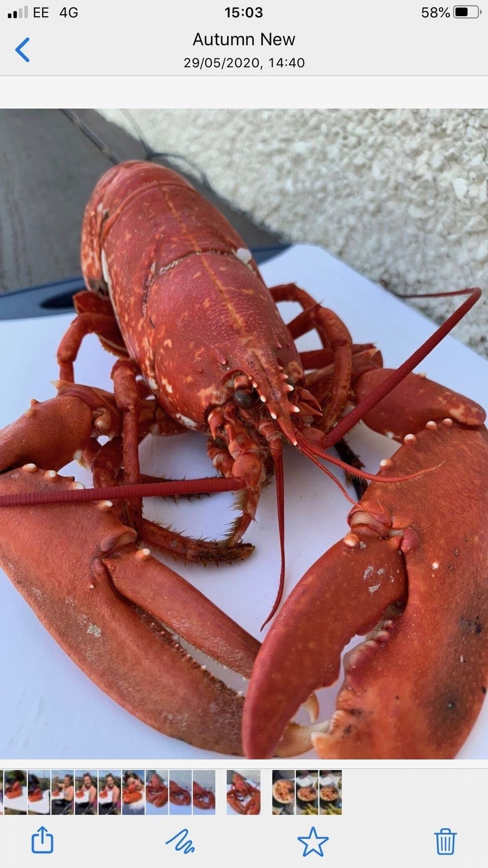 Panoramic Apartment, Private Bathroom, Garden View | Miscellaneous