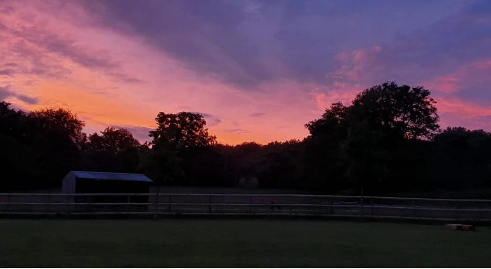 Cottage | Miscellaneous