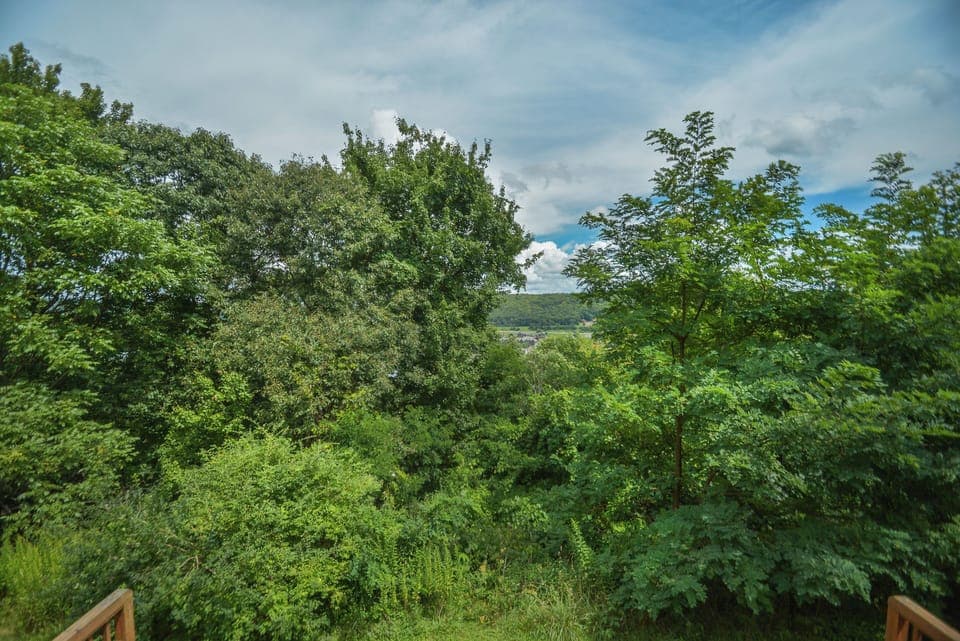 Studio (2 Bedrooms) | Property amenity
