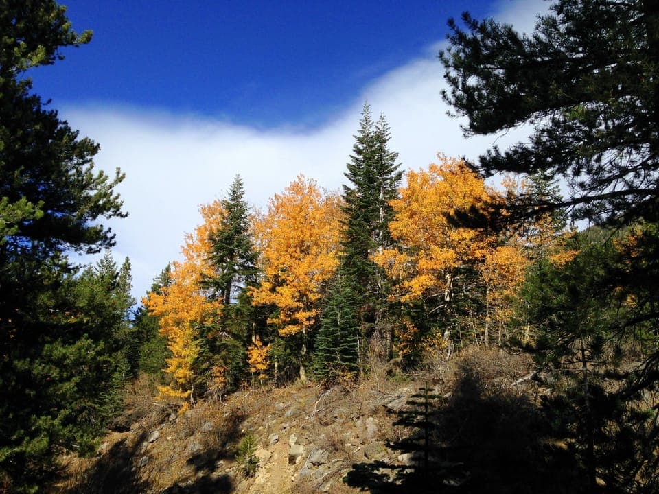 House, 2 Bedrooms | Property grounds