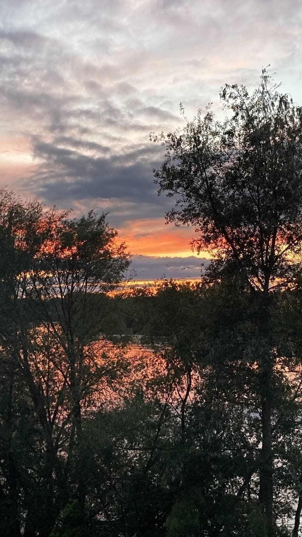 Quadruple Room | View from room