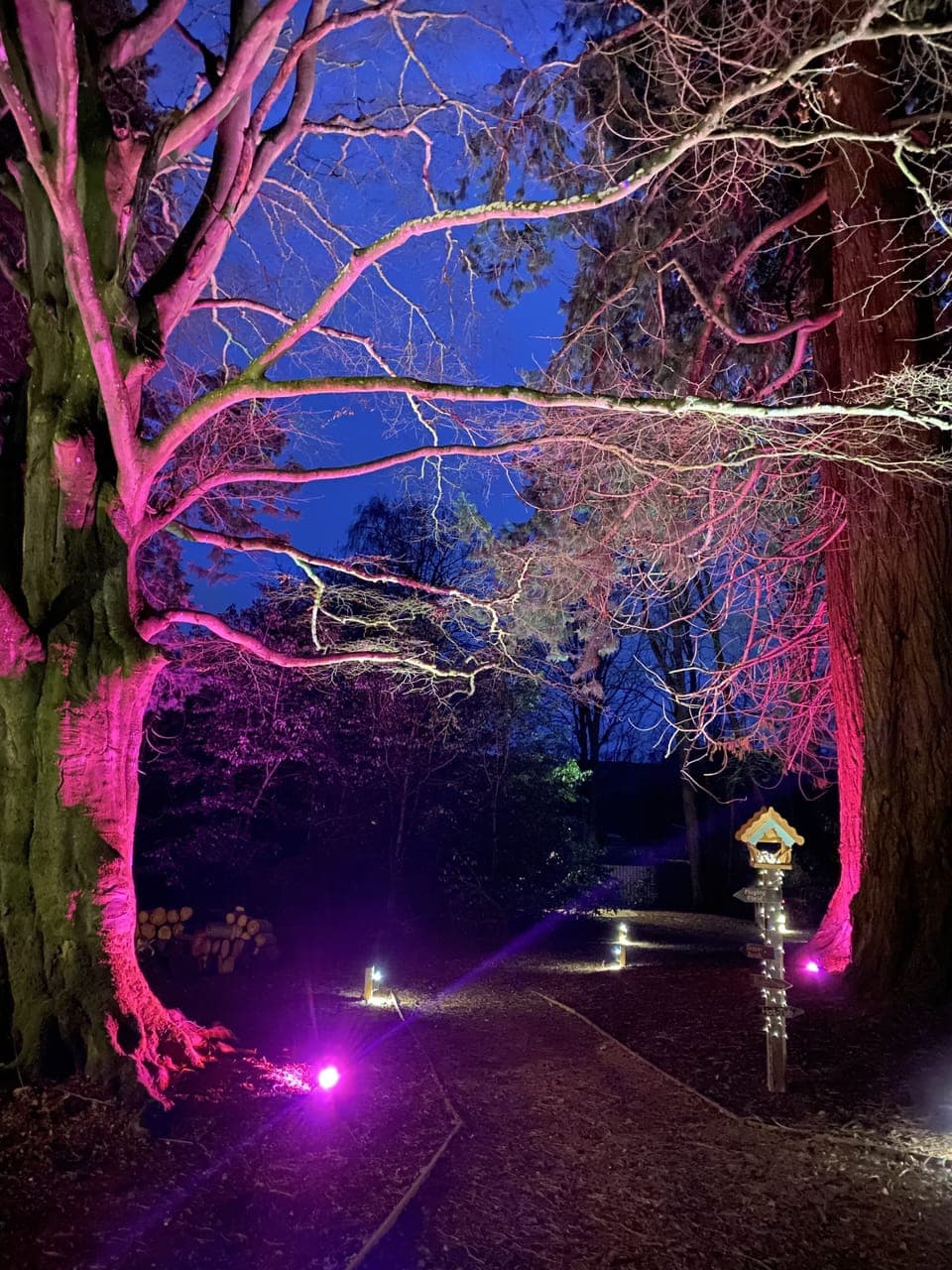 Cabin | Property grounds