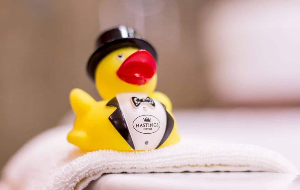 Combined shower/tub, free toiletries, hair dryer, towels