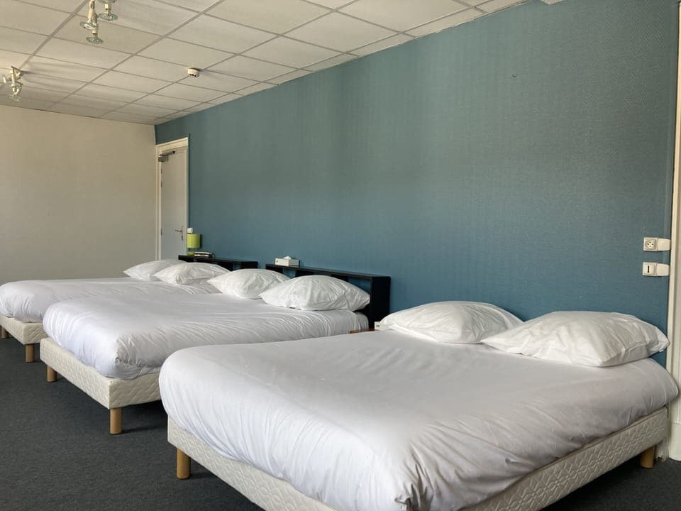 Economy Room | Premium bedding, down comforters, Tempur-Pedic beds