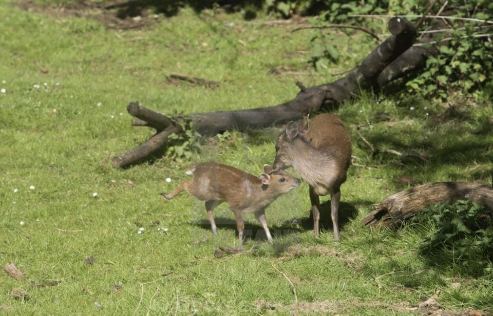 Cabin | Miscellaneous