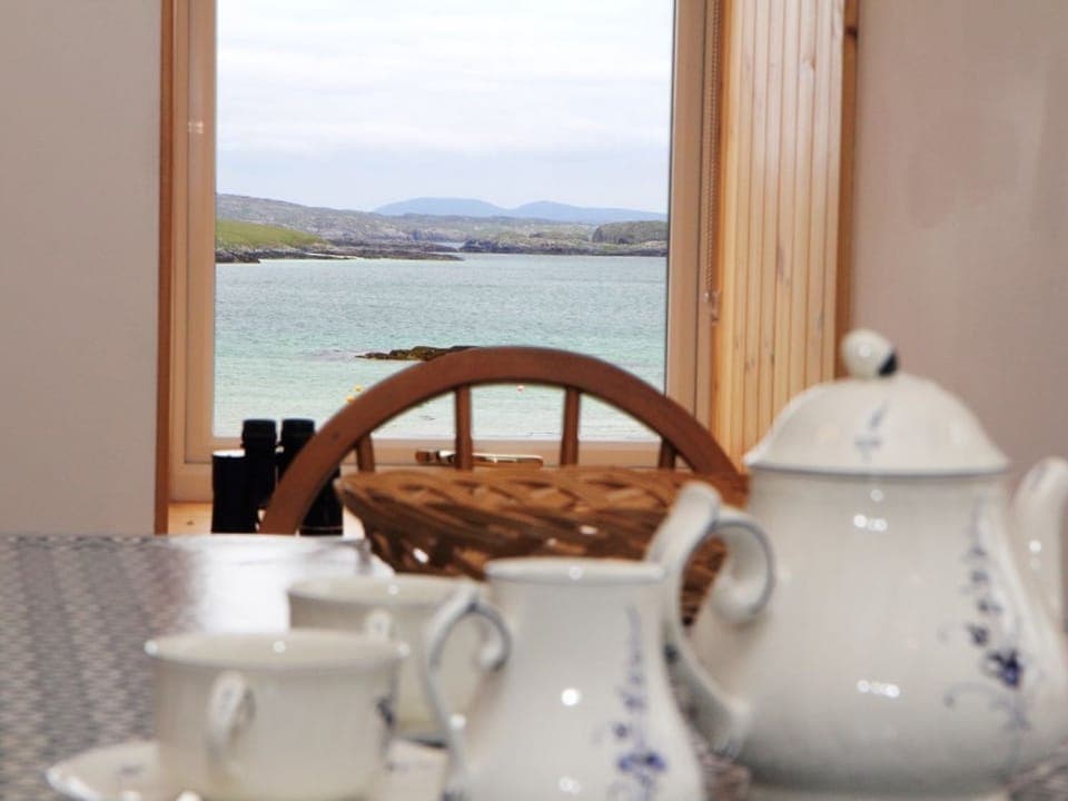 Fridge, dishwasher, cookware/dishes/utensils