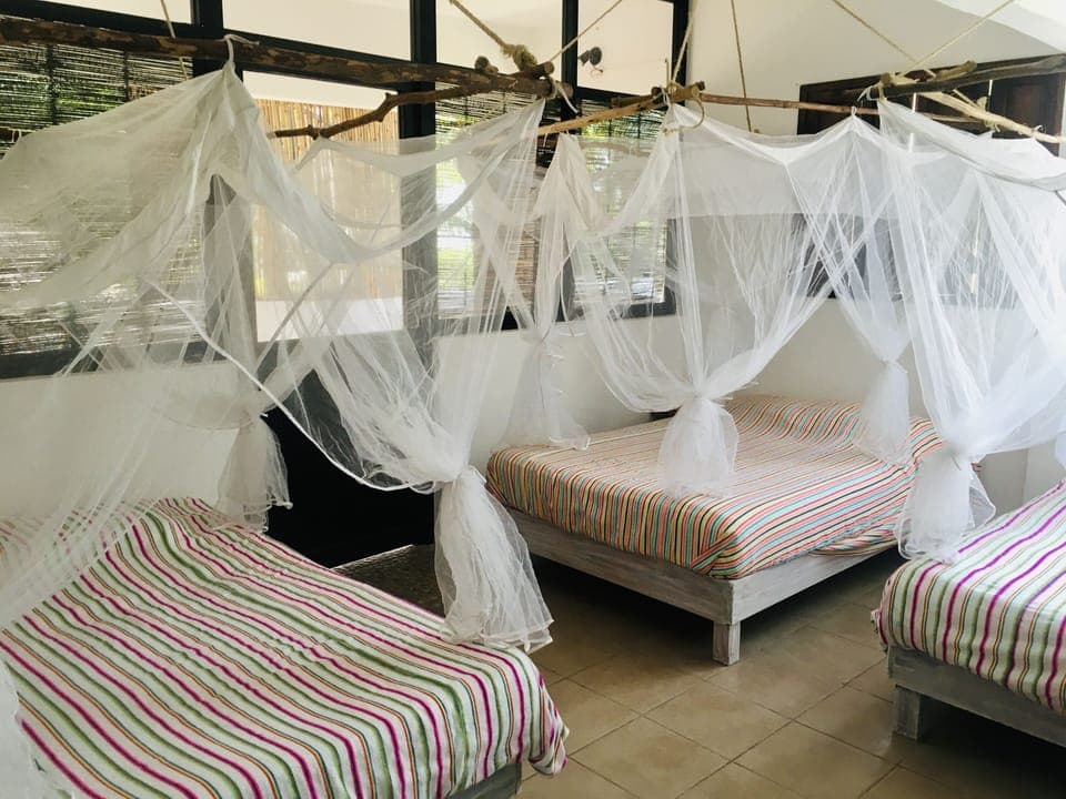 Standard Triple Room, Multiple Beds, Garden View, Beachside | Iron/ironing board, free WiFi, bed sheets