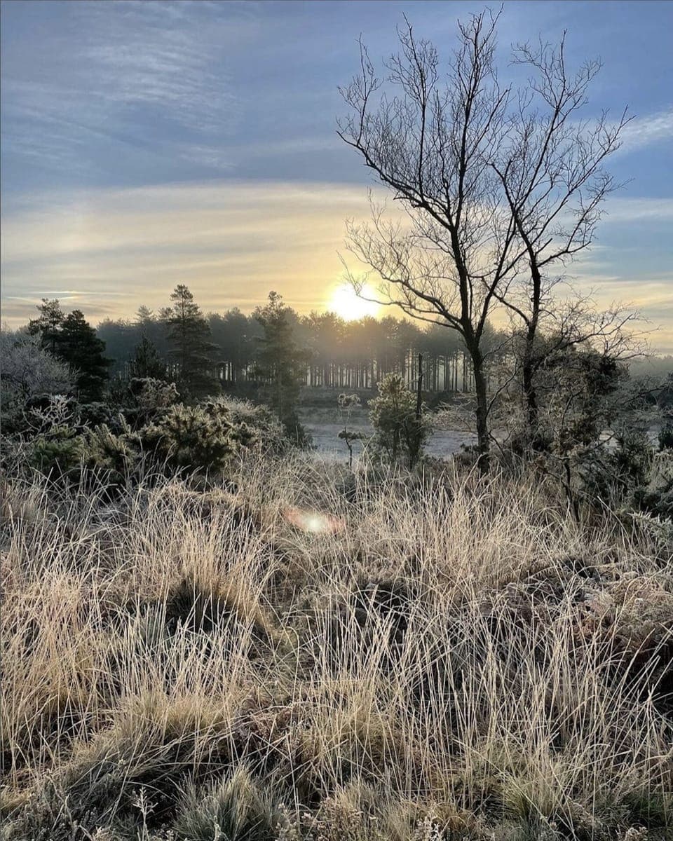 House, 2 Bedrooms, Patio | Exterior