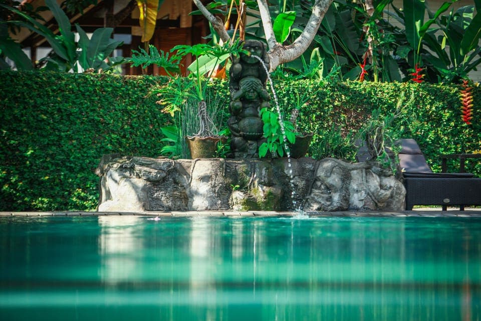 Outdoor pool, sun loungers