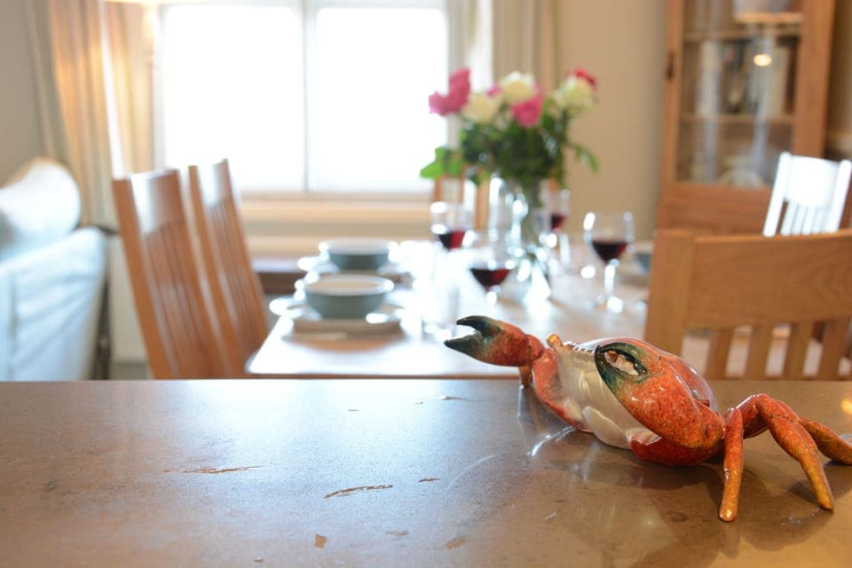 Fridge, dishwasher, cookware/dishes/utensils