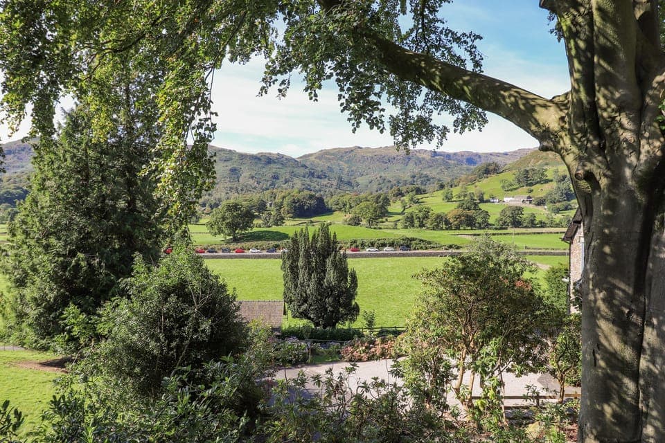 Cottage | Property grounds