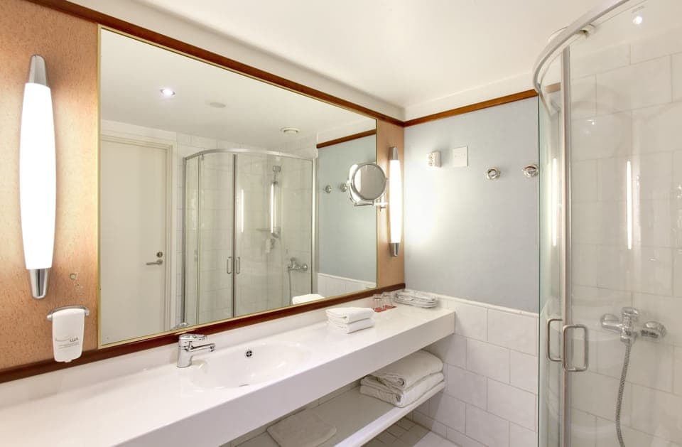 Shower, hair dryer, bidet, towels