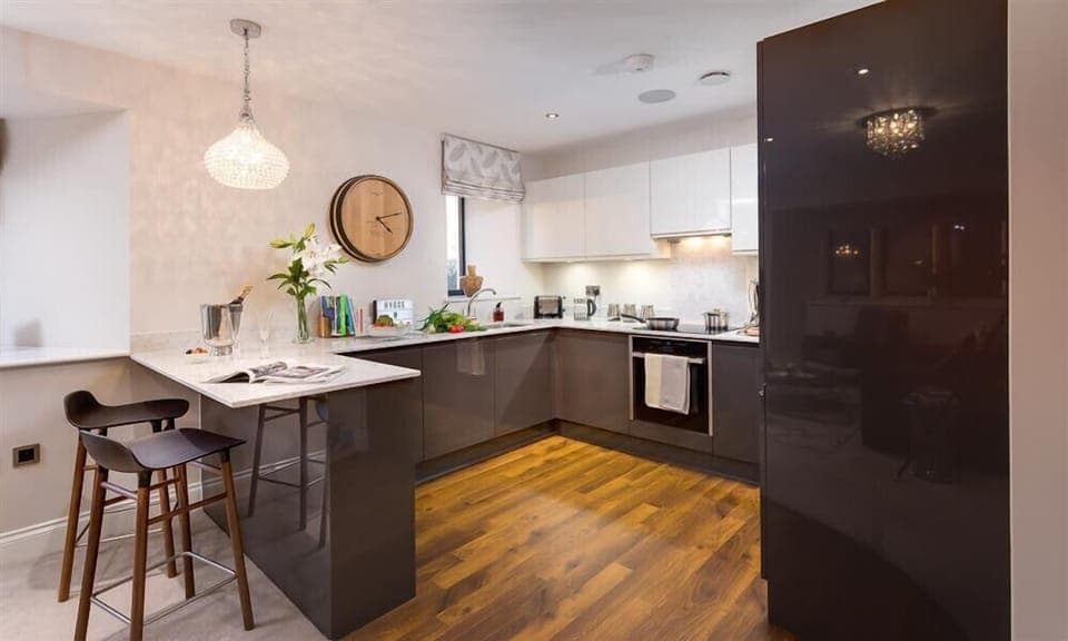 Fridge, dishwasher, cookware/dishes/utensils