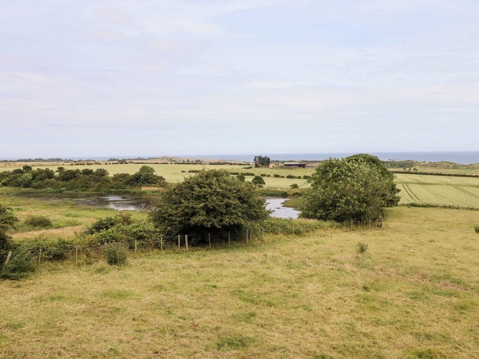 Cottage | Property grounds