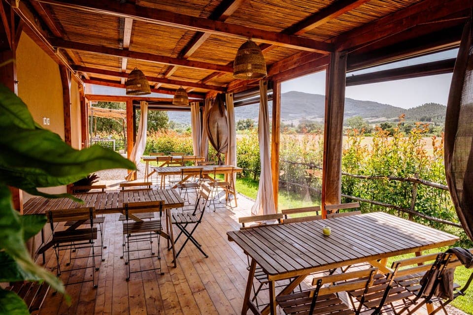 Italian cuisine, garden views 