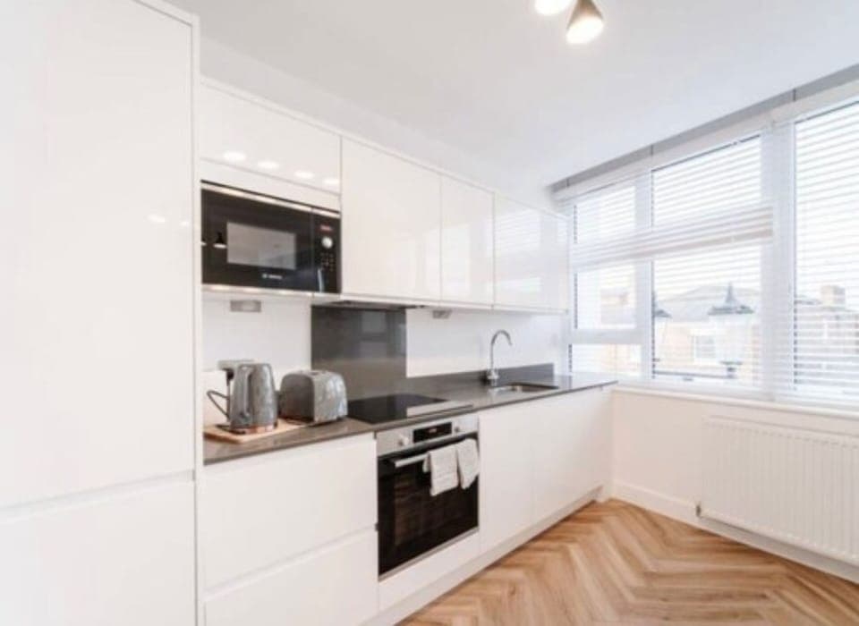 Basic Apartment | Private kitchen | Full-size fridge