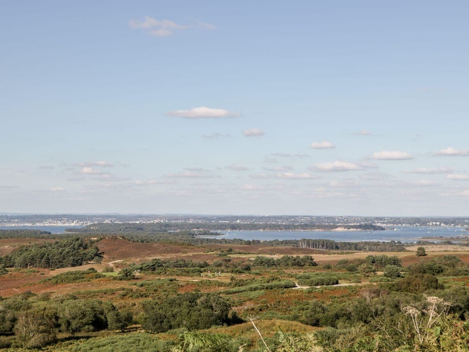 Cottage | Miscellaneous