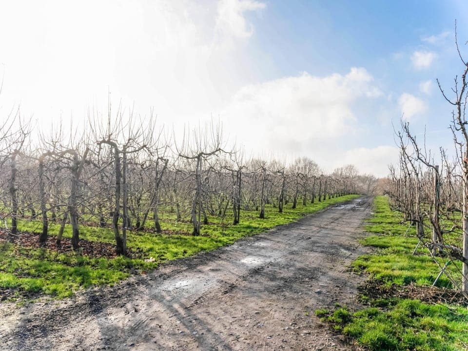 House | View from property