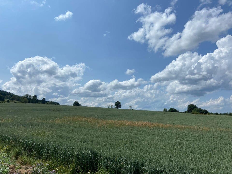 House | View from property