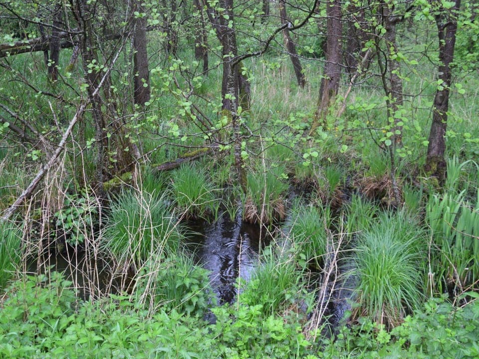 Apartment | View from property