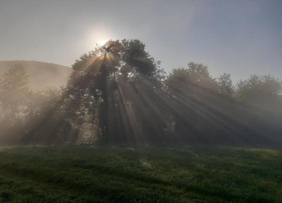 Apartment | View from property