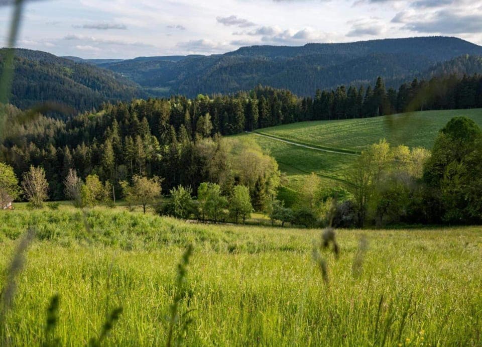 House | View from property