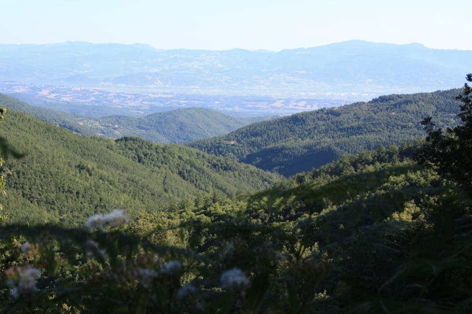 House | View from property