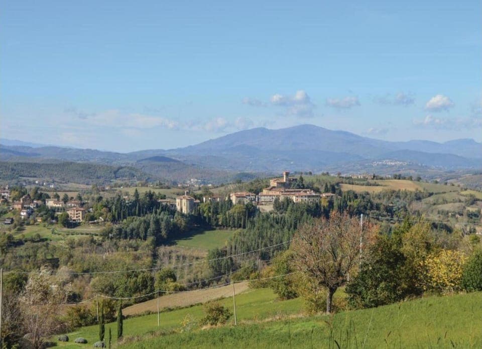 House | View from property