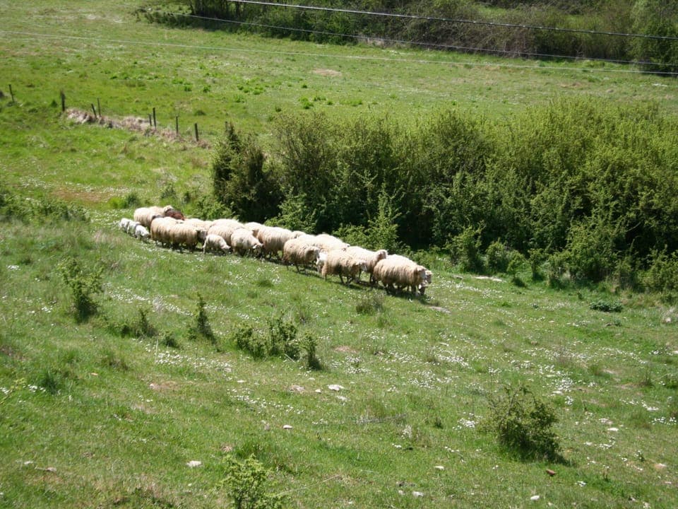 House | View from property