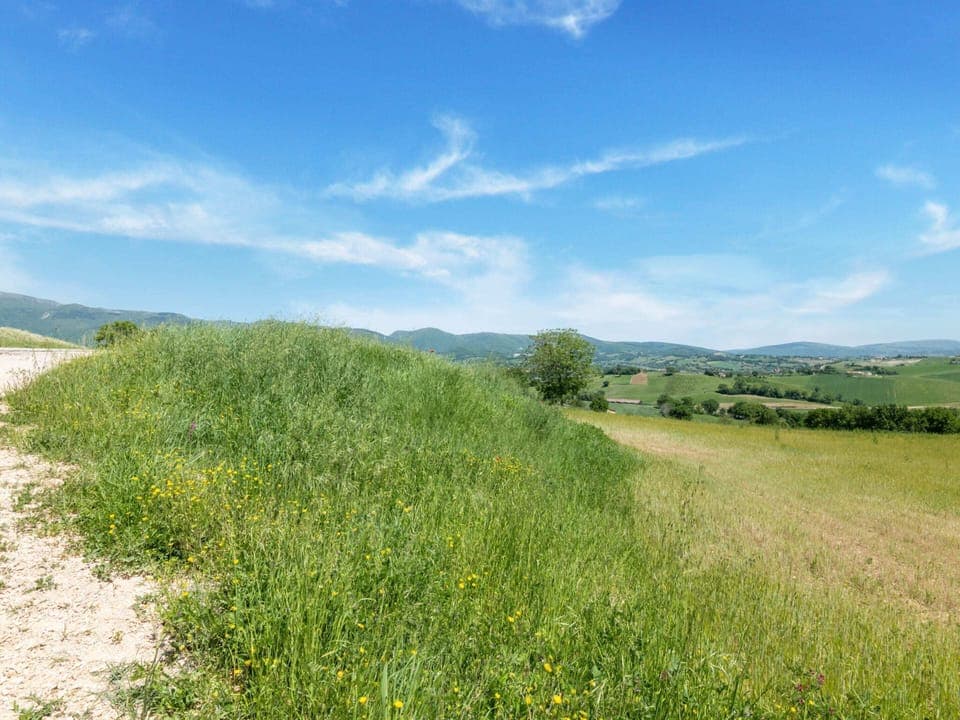 Apartment | View from property