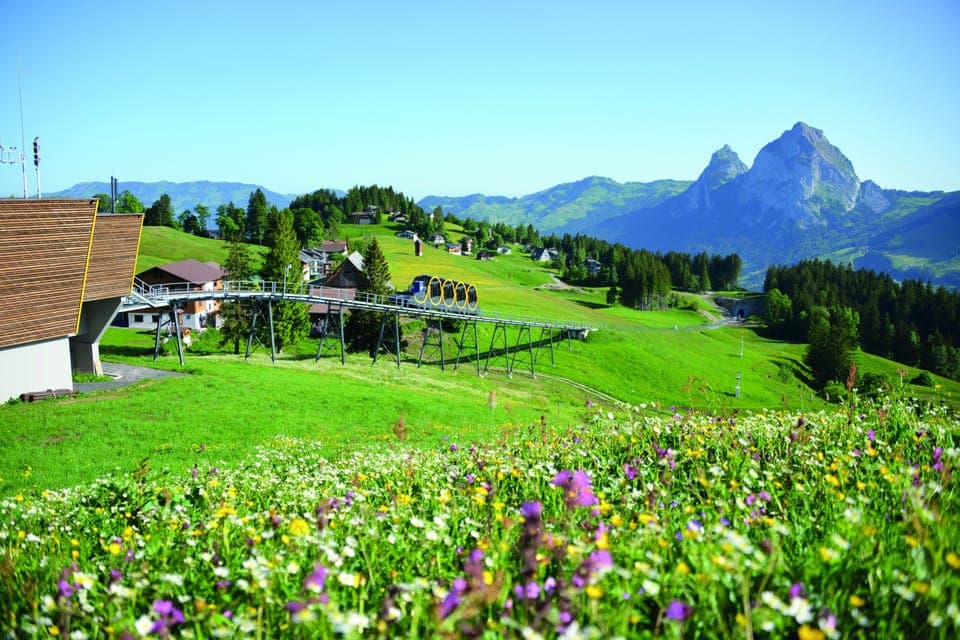 Land view from property