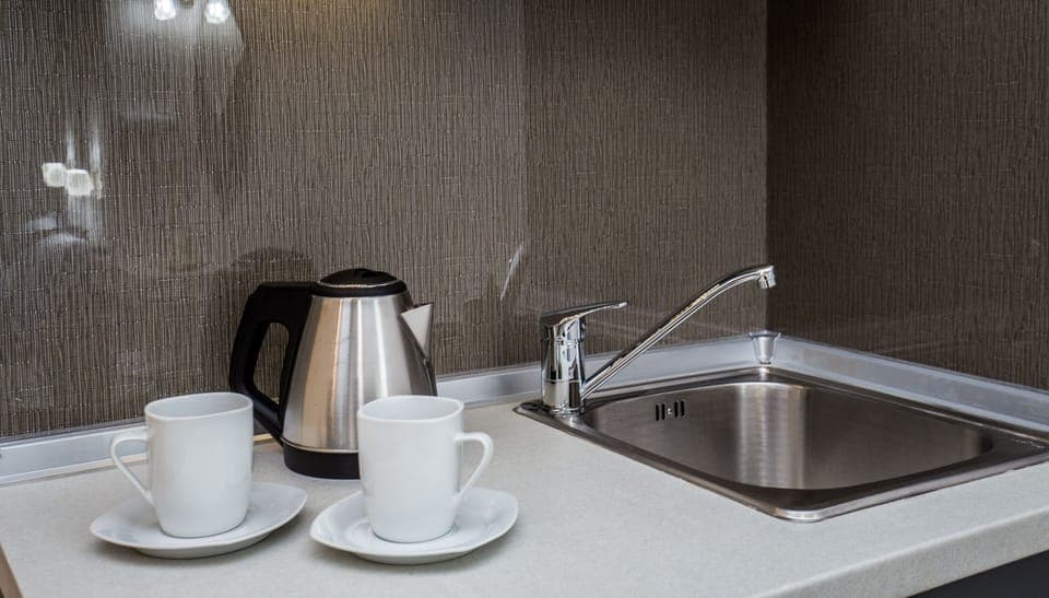 Superior Apartment | Private kitchenette | Fridge, dishwasher, cookware/dishes/utensils, cleaning supplies