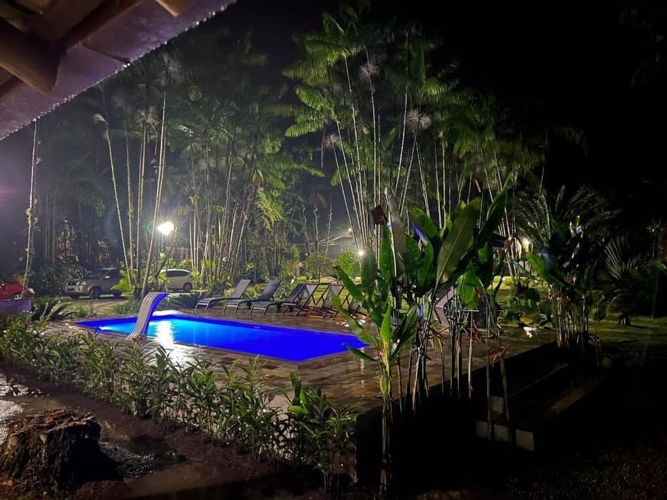 Outdoor pool, sun loungers