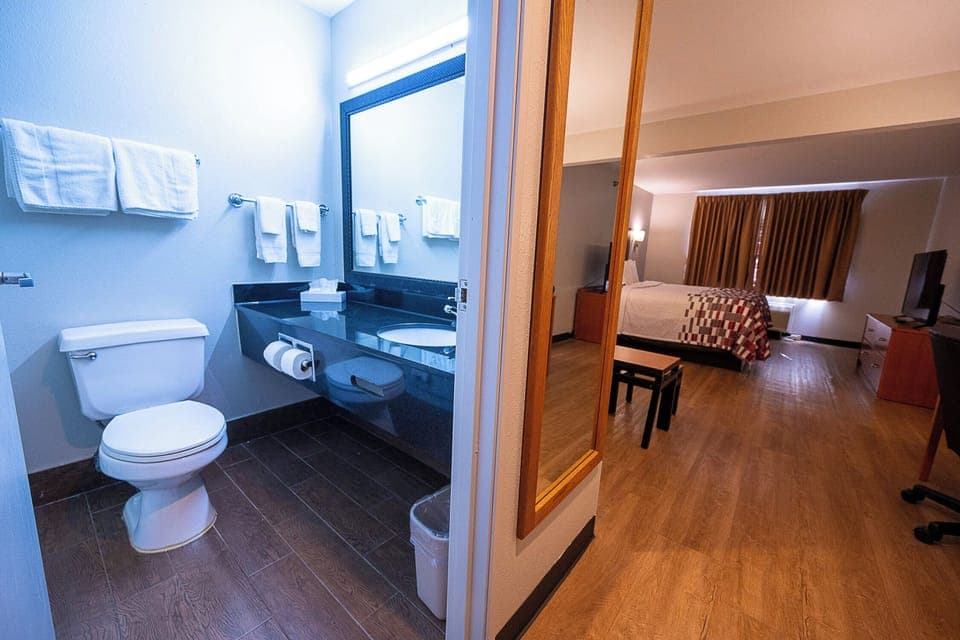 Suite, 1 King Bed (Smoke Free) | Bathroom | Combined shower/tub, eco-friendly toiletries, hair dryer, towels