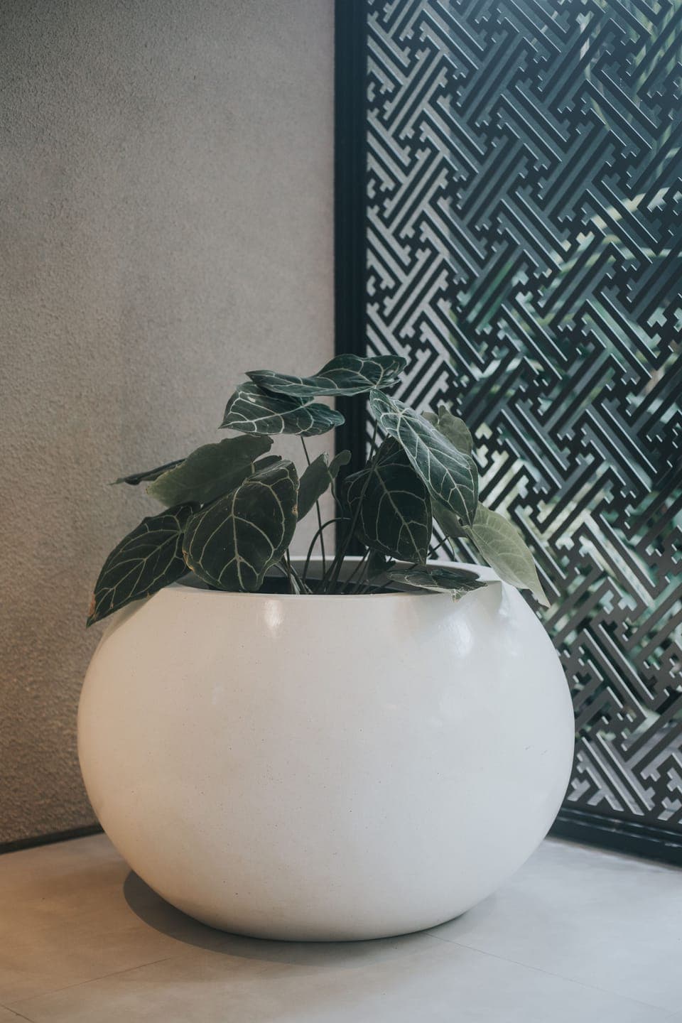 43-inch Smart TV with digital channels, TV