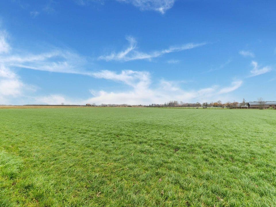 House | View from property