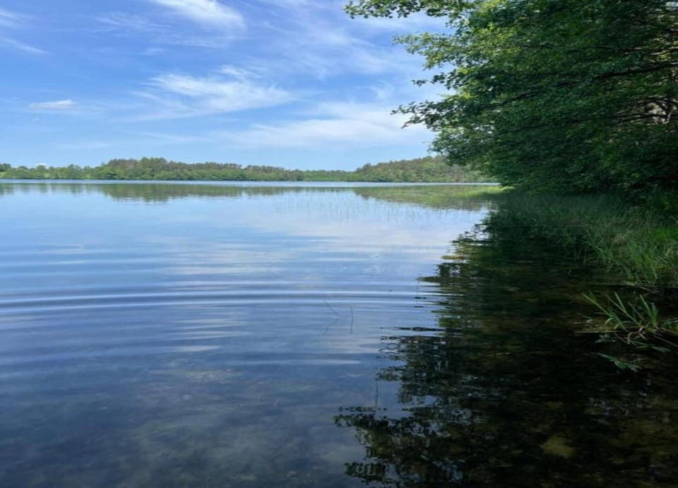 House | View from property