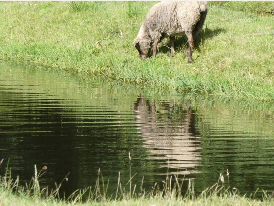 House | Miscellaneous