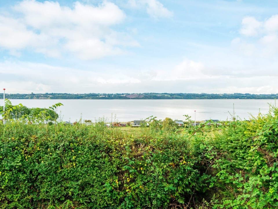 House | Miscellaneous