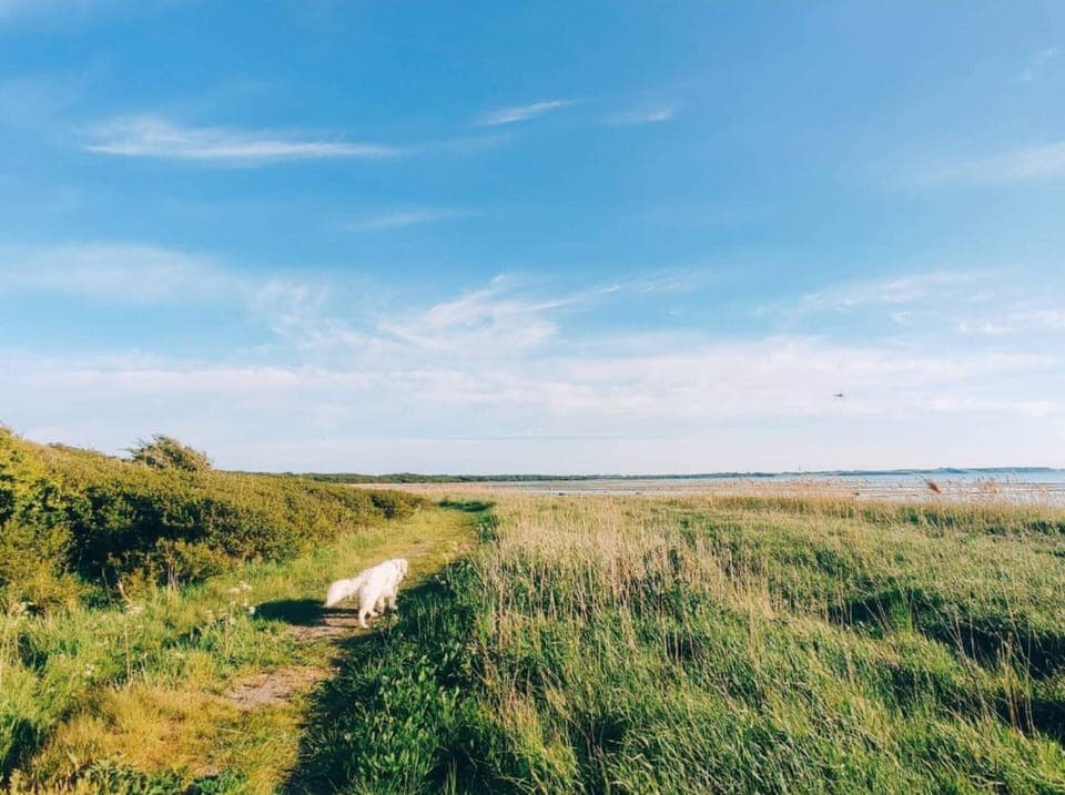 House | Miscellaneous